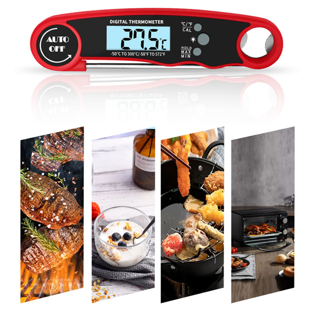 Termometro Digitale per Carne  - Kitchen Gadgets Essential recensione e prezzo